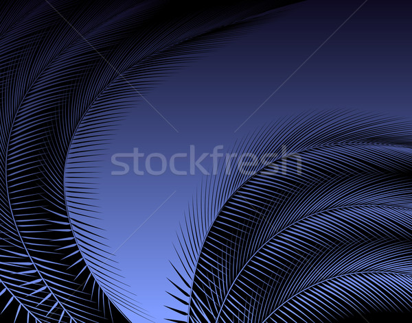 Feathered Stock photo © Tawng