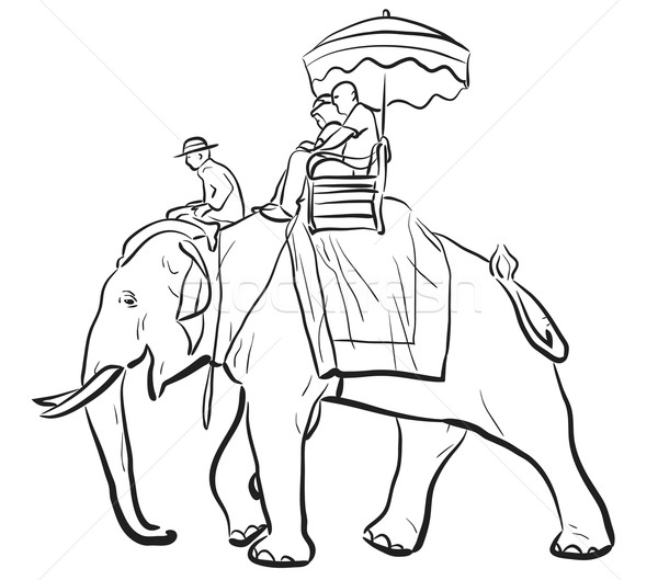 Elephant riding sketch Stock photo © Tawng