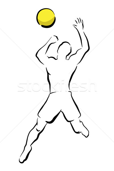 Volleyball smash Stock photo © Tawng