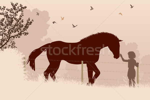 Horse and girl Stock photo © Tawng