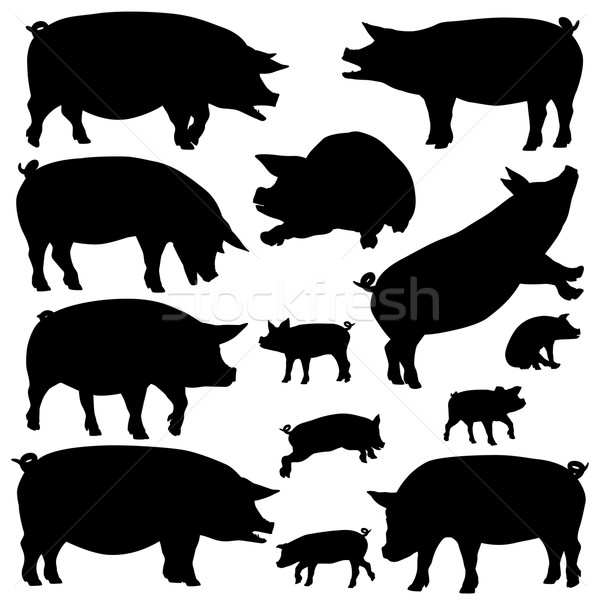 Wieprzowych sylwetki zestaw wektora świń Zdjęcia stock © Tawng