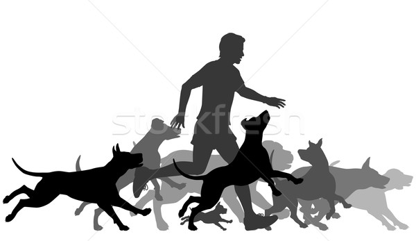 Running with dogs Stock photo © Tawng