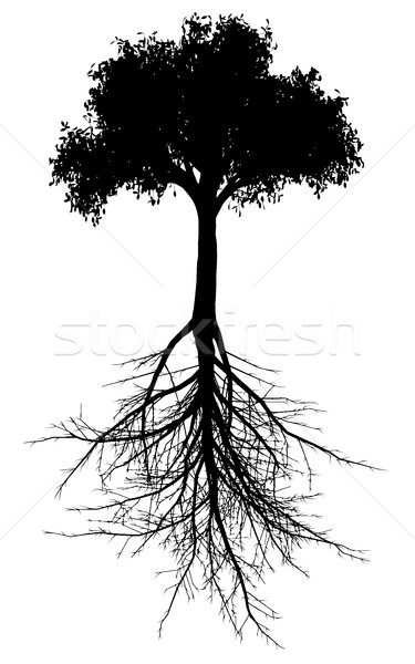 Baum Wurzeln Silhouette editierbar Vektor Stock foto © Tawng
