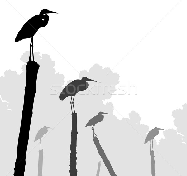 Siluete păsări distinct obiecte aşteptare Imagine de stoc © Tawng