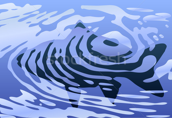 Rippled fish Stock photo © Tawng