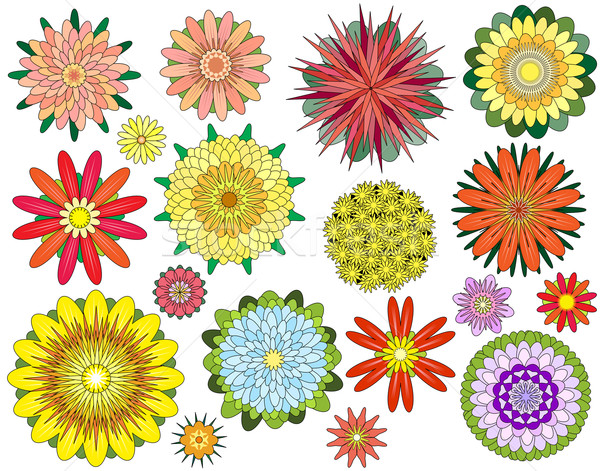Virágmintás szett szerkeszthető vektor szimmetrikus virág Stock fotó © Tawng