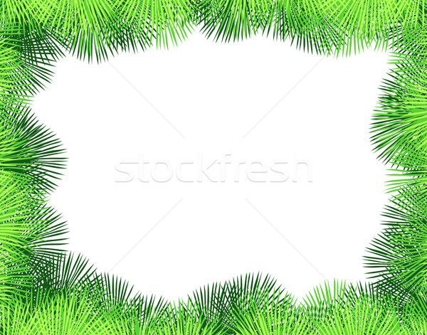 Palm fringe Stock photo © Tawng