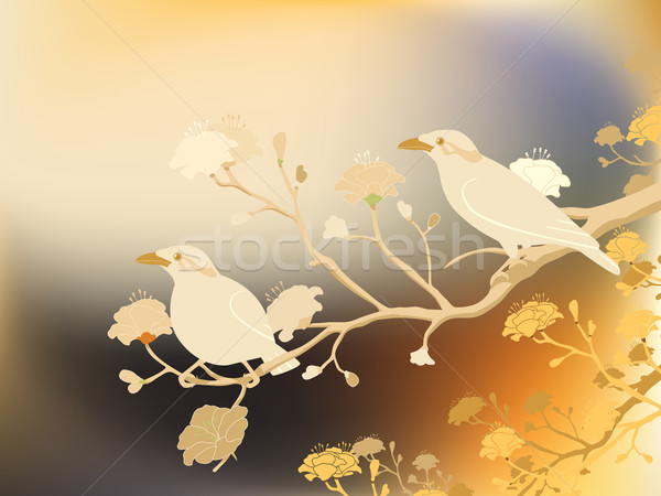 Myna birds Stock photo © Tawng