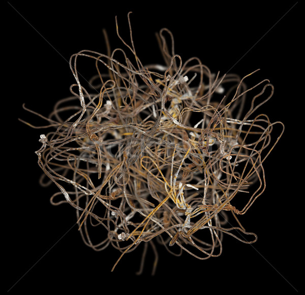 Zardzewiałe drutu piłka czarny metal Zdjęcia stock © Tawng