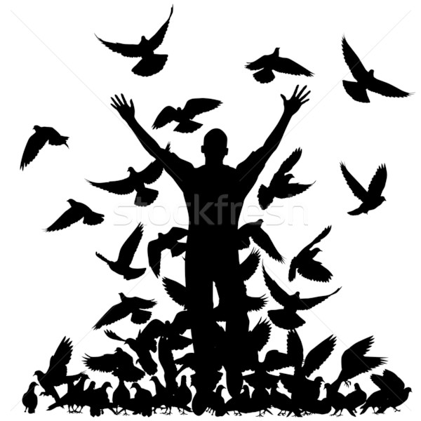 Pigeon man Stock photo © Tawng