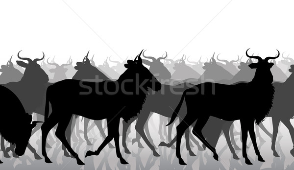 Wildebeest migration Stock photo © Tawng