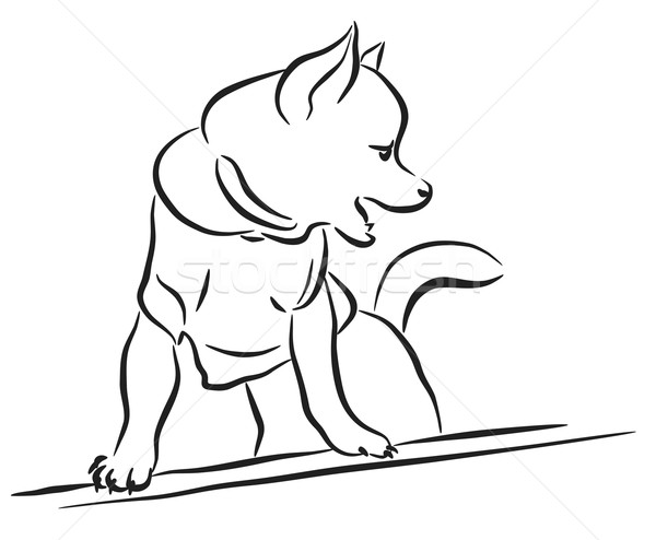 [[stock_photo]]: Chien · en · peluche · croquis · vecteur · shirt