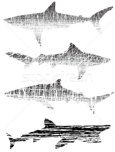 Grunge sharks Stock photo © Tawng