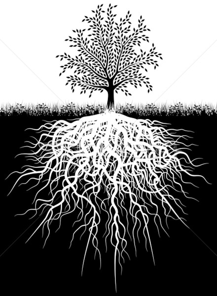 Stock foto: Baum · Wurzeln · editierbar · Blatt · Netzwerk · Unterstützung