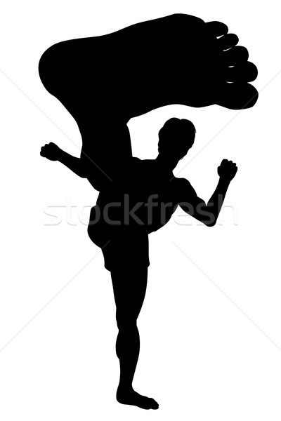 Karate calci eps8 vettore silhouette Foto d'archivio © Tawng
