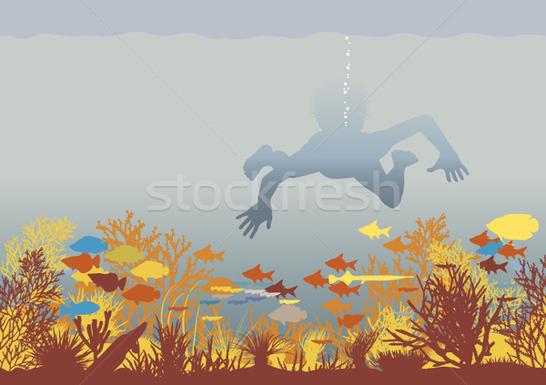 Corail garçon natation coloré [[stock_photo]] © Tawng