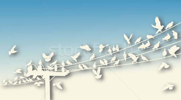 Bird roost cutout Stock photo © Tawng