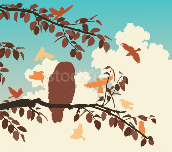 совы птиц силуэта крыльями филиала Сток-фото © Tawng