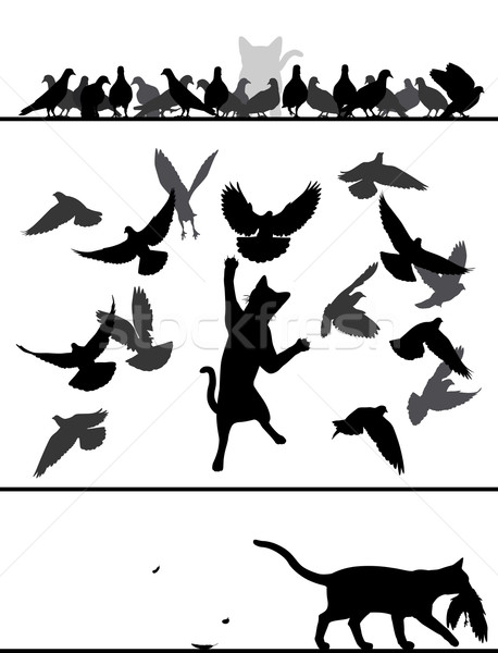 Cat amongst pigeons Stock photo © Tawng