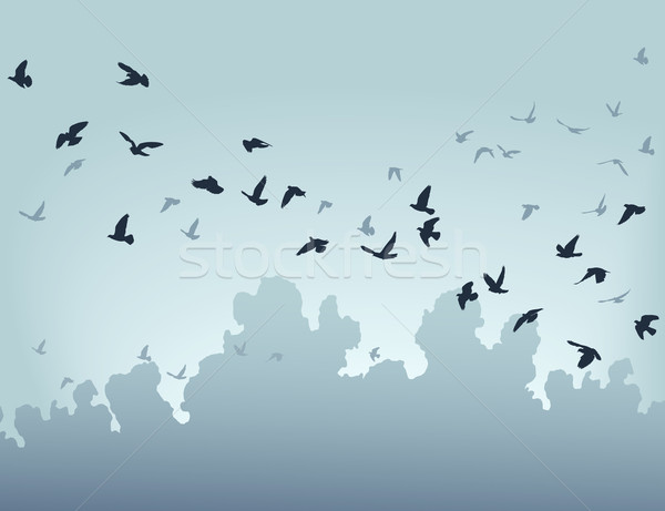 Migration Herde unter Vögel Wolken blau Stock foto © Tawng
