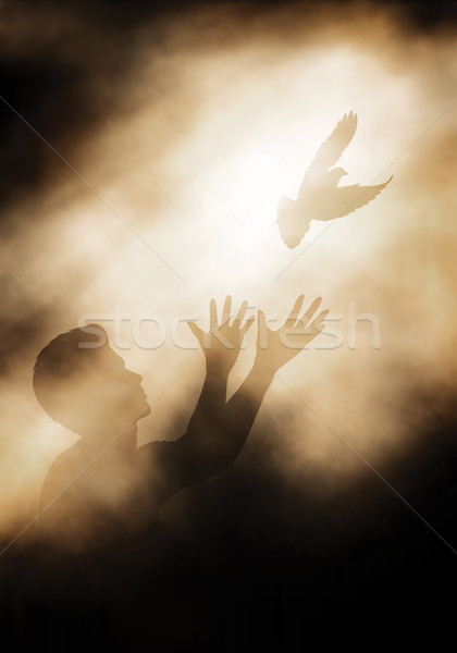 Dove release Stock photo © Tawng