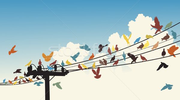 Bird roost Stock photo © Tawng