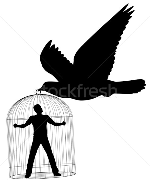 Carrier pigeon Stock photo © Tawng