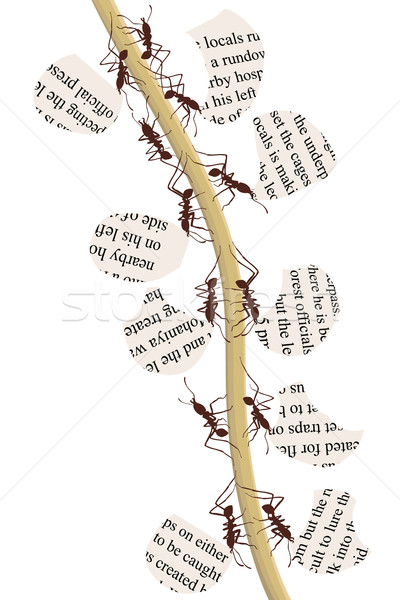 Paper recycling ants Stock photo © Tawng