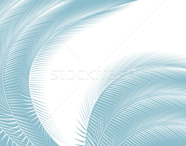Görbület tollak absztrakt szerkeszthető terv pálma Stock fotó © Tawng