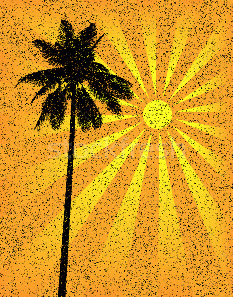 [[stock_photo]]: Grunge · Palm · tropicales · palmier · arbre