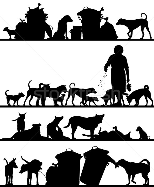 Street dog foregrounds Stock photo © Tawng