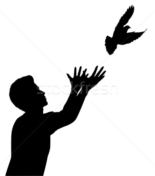Dove release Stock photo © Tawng