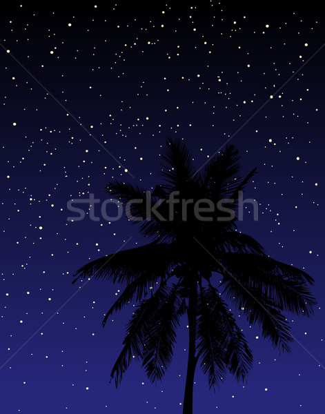 Under the stars Stock photo © Tawng