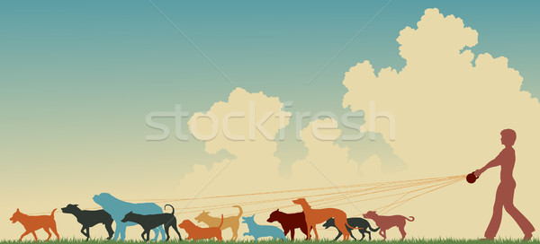 Female dog walker Stock photo © Tawng