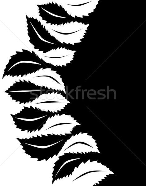 Leaf to leaf Stock photo © Tawng