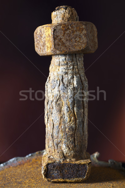 Nut and bolt Stock photo © Tawng