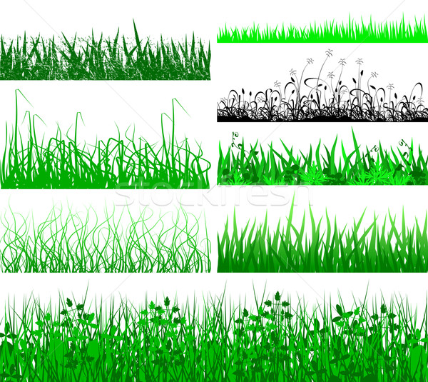 Grass fringes Stock photo © Tawng