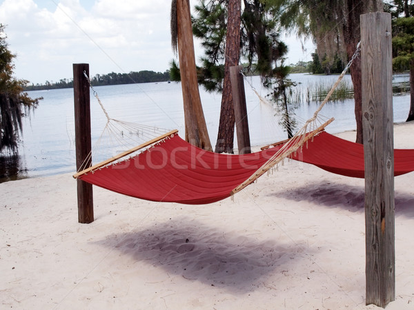 red hammock Stock photo © tdoes