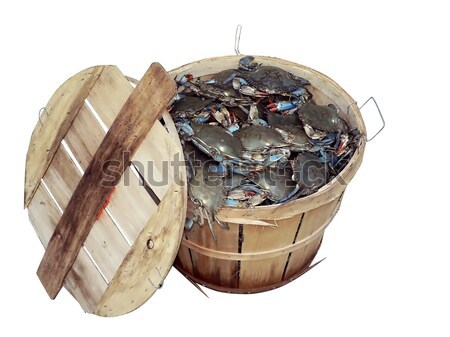 Stock photo: bushel basket of crabs2