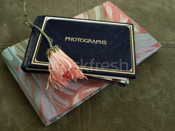 Foto ricordi essiccati fiore riposo personale Foto d'archivio © tdoes