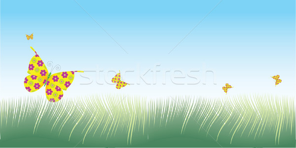 grass & butterflies vector Stock photo © tdoes