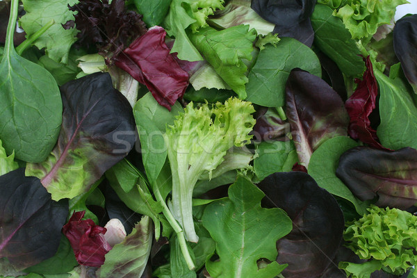 Gemengd groene sla textuur voedsel Stockfoto © TeamC