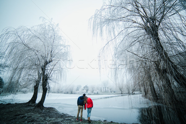 Bella Coppia posa congelato fiume parco Foto d'archivio © tekso