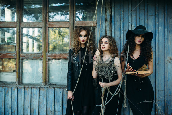 three vintage women as witches Stock photo © tekso