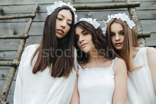 Stock photo: three beautiful girls