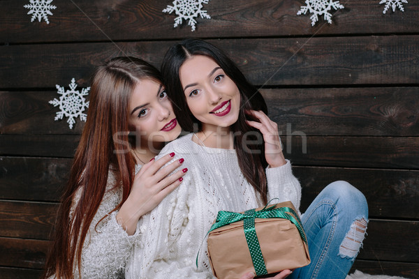 Foto d'archivio: Due · bella · ragazze · Natale · stile · di · vita