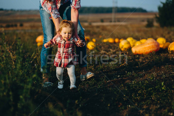 Madre insegnamento figlia piedi campo zucche Foto d'archivio © tekso