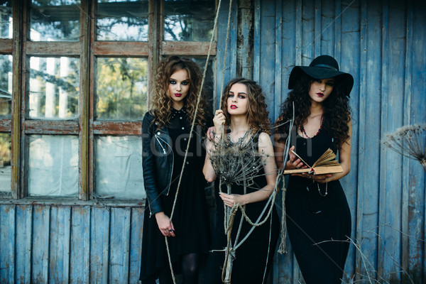 Stock photo: three vintage women as witches