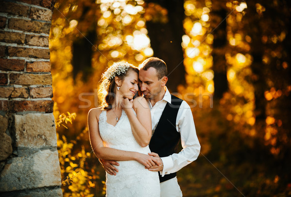 Foto d'archivio: Bella · Coppia · posa · autunno · foresta · sorriso