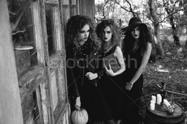 Trzy vintage kobiet opuszczony budynku książki Zdjęcia stock © tekso